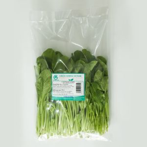Cải ngọt baby